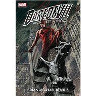 Daredevil 2: Muž beze strachu! - Brian Michael Bendis