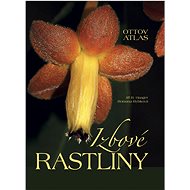 Izbové rastliny Ottov atlas - 