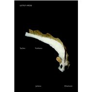 Letný hrob - Sačiko Yošihara; Juliana Chomová