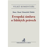 Evropská úmluva o lidských právech - Jan Kratochvíl; Jiří Kmec; David Kosař