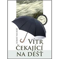 Vítr čekající na déšť - 