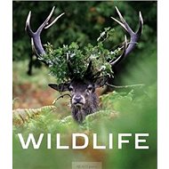 Wildlife - 