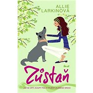 Zůstaň! - Allie Larkinová