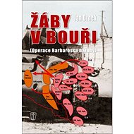Žáby v bouři: Operace Barbarossa naruby - Jan Drnek