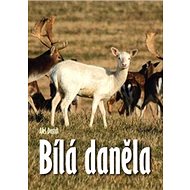 Bílá daněla - 