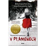 V plamenech - 