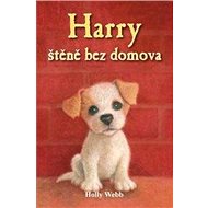 Harry štěně bez domova - Holly Webb