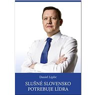 Slušné Slovensko potrebuje lídra - Daniel Lipšic