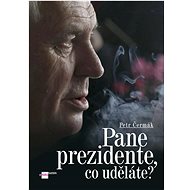Pane prezidente, co uděláte? - Petr Čermák