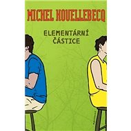 Elementární částice - 