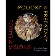 Podoby a predstavy Forms & Visions - Daniel Hevier; Rastislav Bero