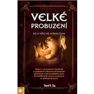 Velké probuzení - David R. Loy