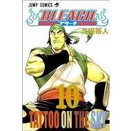 Bleach 10: Tattoo on the Sky - Tite Kubo