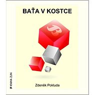 Baťa v kostce - Zdeněk Pokluda