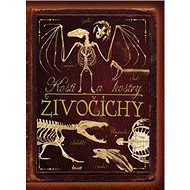 Kosti a kostry Živočíchy - kolektív autorov