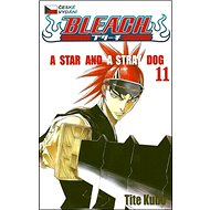 Bleach 11: A Star and a Stray Dog - Tite Kubo