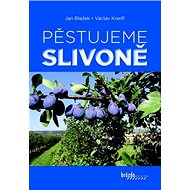Pěstujeme slivoně - Jan Blažek; Václav Kneifl