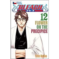 Bleach 12: Flower on the Precipice - Tite Kubo