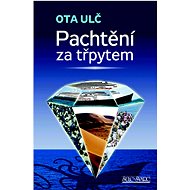 Kniha Pachtění za třpytem - 