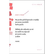 Domy v řadě: svazek 93 - Dana Malá