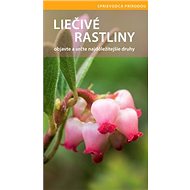 Liečivé rastliny: objavte a určte najdôležitejšie druhy - 