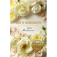 Sen o Somersetu - Leila Meachamová
