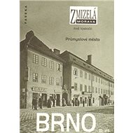 Brno III. díl: Průmyslové město - Aleš Vyskočil
