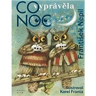 Co vyprávěla noc - František Nepil