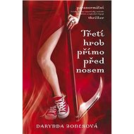 Třetí hrob přímo před nosem - Darynda Jonesová