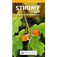Stromy a keře - 