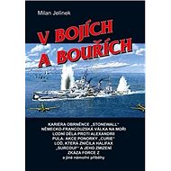 V bojích a bouřích - Milan Jelínek