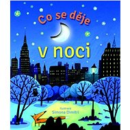 Co se děje v noci - Simona Dimitri