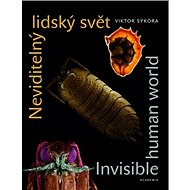 Neviditelný lidský svět - Viktor Sýkora