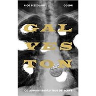 Galveston - Nic Pizzolatto