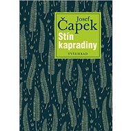 Stín kapradiny - 