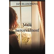 Malá nerozvážnosť - Jan Ellisonová