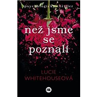 Než jsme se poznali - 