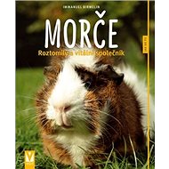 Morče: Roztomilý a vitální společník - Immanuel Birmelin