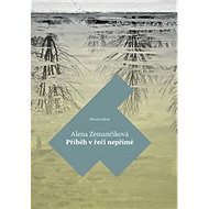 Příběh v řeči nepřímé - 