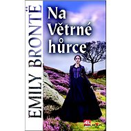 Na větrné hůrce - 