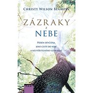 Zázraky z nebe - Christy Wilson Beam