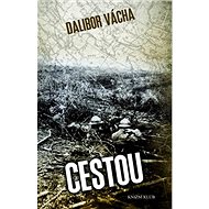 Cestou - Dalibor Vácha
