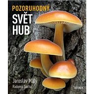 Pozoruhodný svět hub - Jaroslav Malý; Radomír Socha