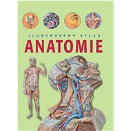 Anatomie Ilustrovaný atlas - 