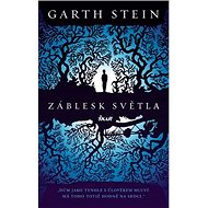Záblesk světla - 