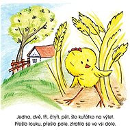 ORY Books Stray Chicken - Leporello
