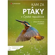 Kam za ptáky: v České republice - Alena Klvaňová