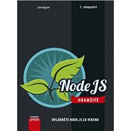Node JS Okamžitě: Ovládněte Node.js za víkend - Don Nguyen