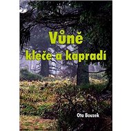 Vůně kleče a kapradí - 