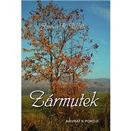 Zármutek: Návratk k pokoji - James R. White